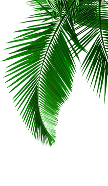 �ŵ�88(�й���)�ٷ���վ